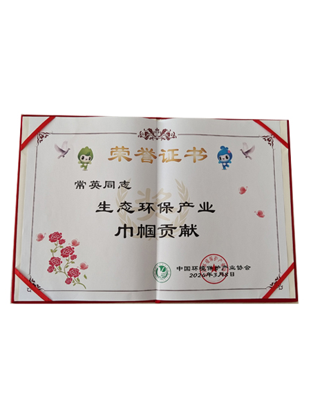 中國環(huán)境保護(hù)產(chǎn)業(yè)協(xié)會(huì)巾幗貢獻(xiàn)獎(jiǎng)